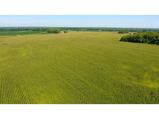 Property photo 21 - LAND AUCTION - 1,193+/- ACRES IN 14 TRACTS IN PIKE & GIBSON COUNTY, INDIANA